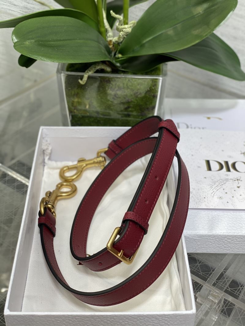 Christian Dior Saddle Bags